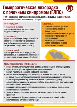 Гемморагическая лихорадка с почечным синдромом