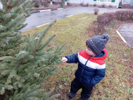 Первая целевая прогулка 